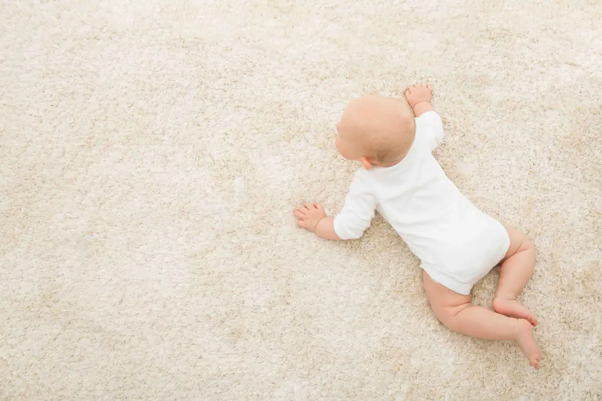 Soft cream carpet | Carpet cleaning in Newcastle Soft, clean cream carpet in a family home, carpet cleaning in Newcastle